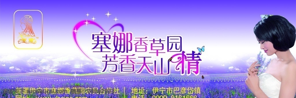 薰衣草广告 塞娜薰衣草 美女 薰衣草庄园 小星星 蝴蝶 小桃心 广告设计模板 源文件
