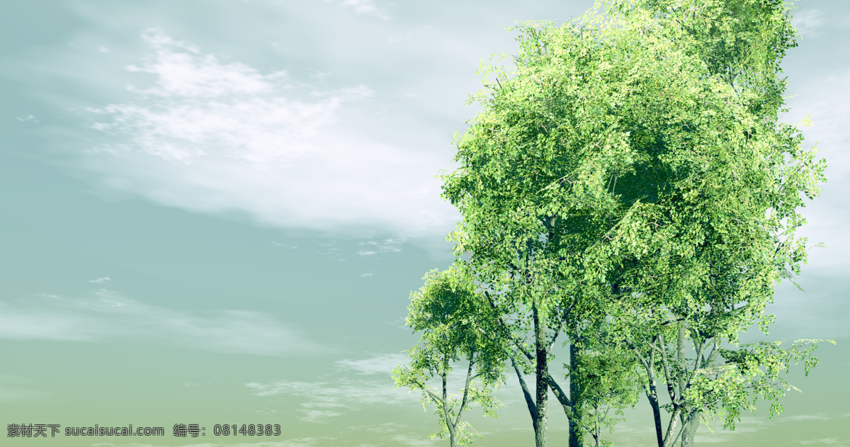 绿色 大树 白云 清爽 树木 天空 生物世界