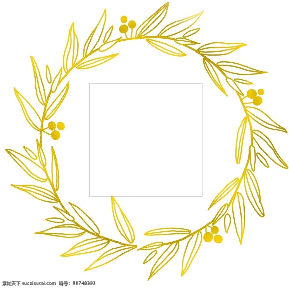 圆形 婚礼 边框 插画 圆形边框 婚礼边框 漂亮的边框 植物边框 边框装饰 边框插画 立体的边框