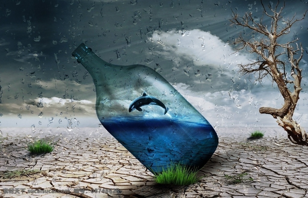 节约 水资源 海报 瓶 艺术 创造力 雨 水资源海报 鲸鱼 干涸 大地 枯树 雨滴 抽象 环保 海洋 小草