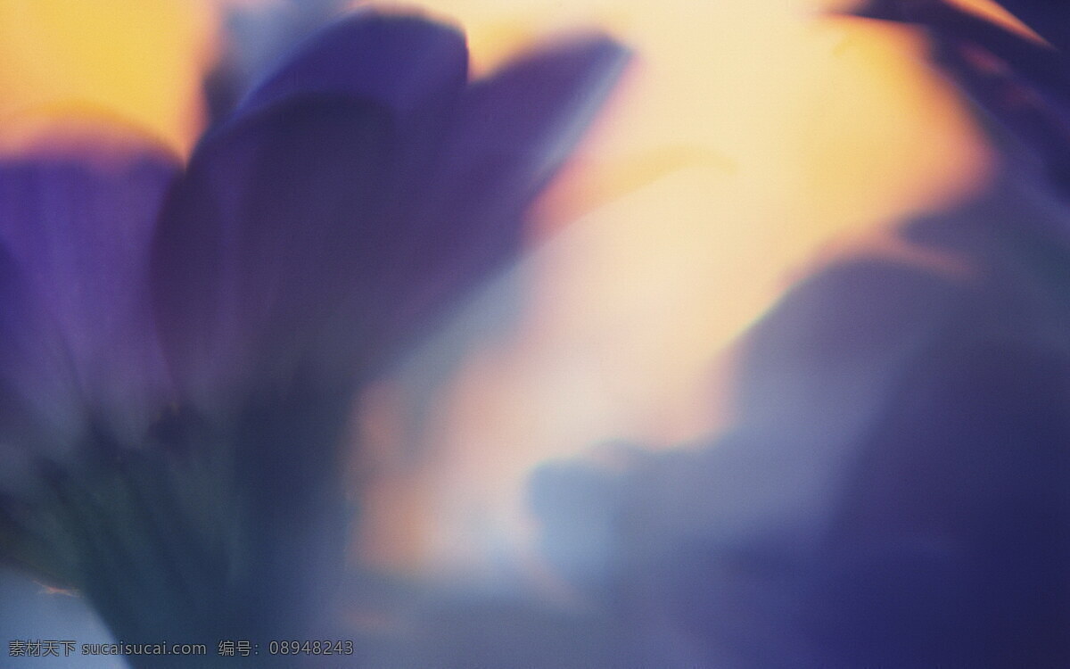 花卉免费下载 花朵 花朵背景图 花朵图片 花朵图片库 花朵组成的心 花卉 风景 生活 旅游餐饮