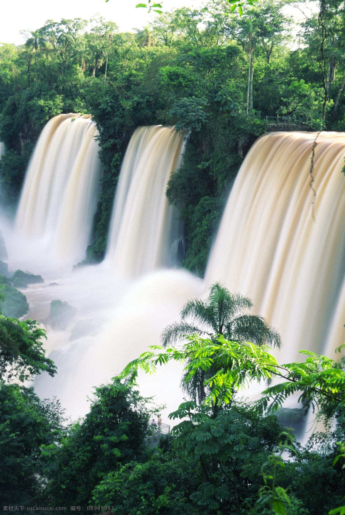 壮观 瀑布 风景 热带森林 景色 美景 美丽风景 摄影图 高清图片 自然风景 自然景观 白色