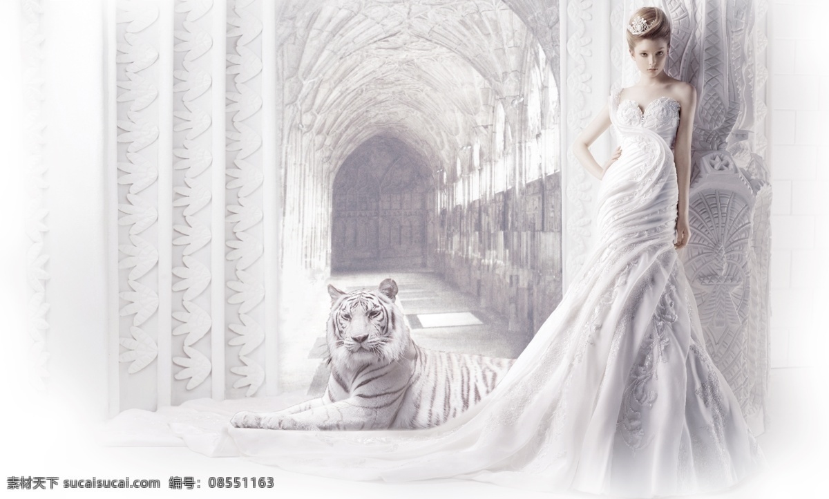 老虎美女图片 高端地产 白色老虎 室内 美女 模特 动物 老虎 提报素材 分层 背景素材