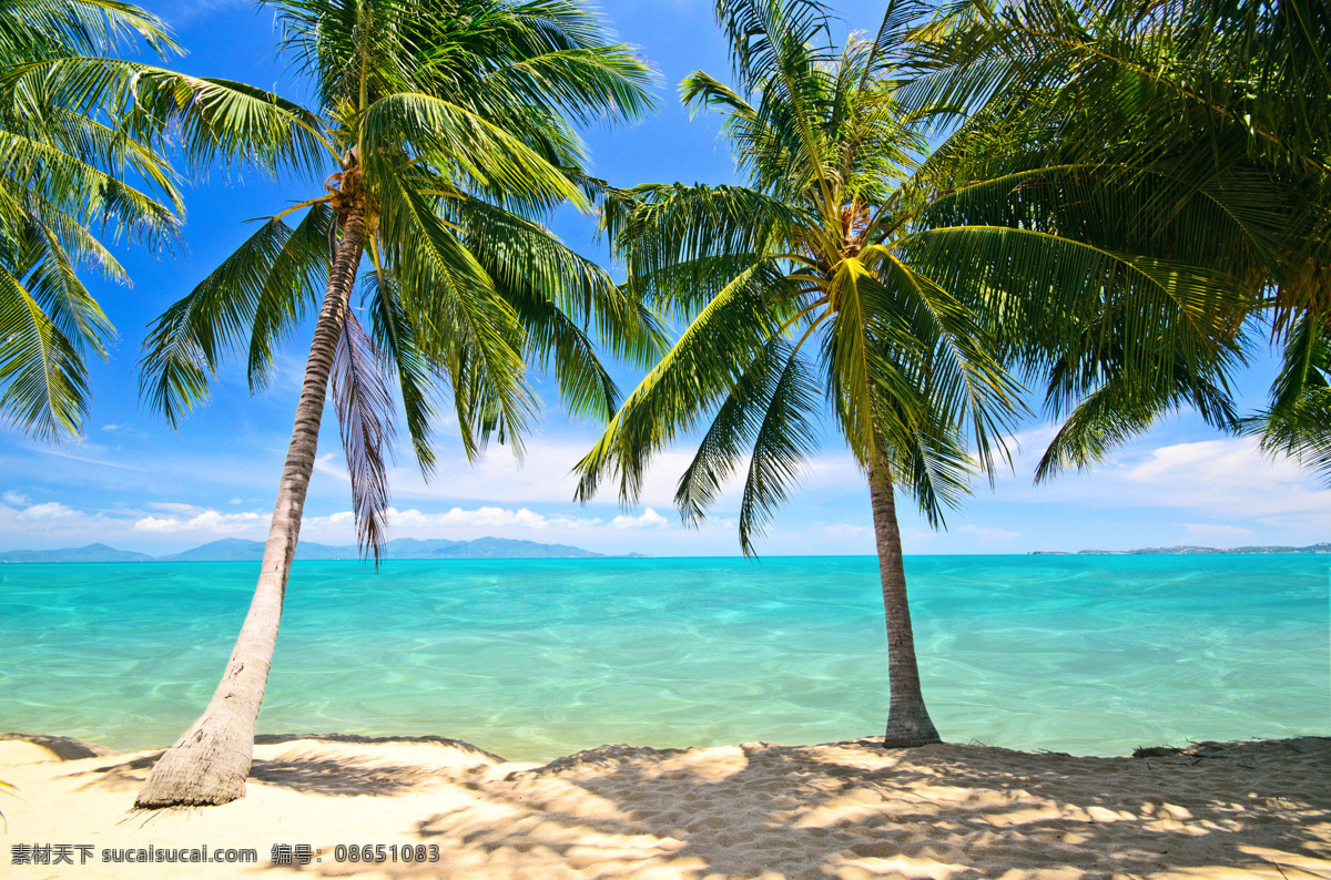 美丽 椰子树 海洋 风景 大海 海浪 蓝天 白云 阳光 沙滩 自然风光 海洋海边 大海图片 风景图片