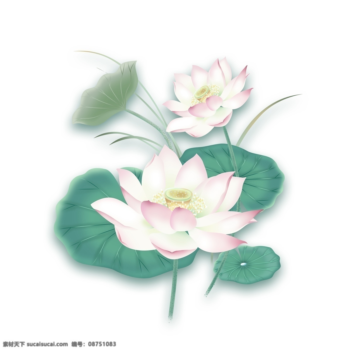 手绘 粉色 荷花 元素 粉色荷花 荷叶 夏荷 元素设计 装饰图案 彩色元素 卡通元素 可爱元素