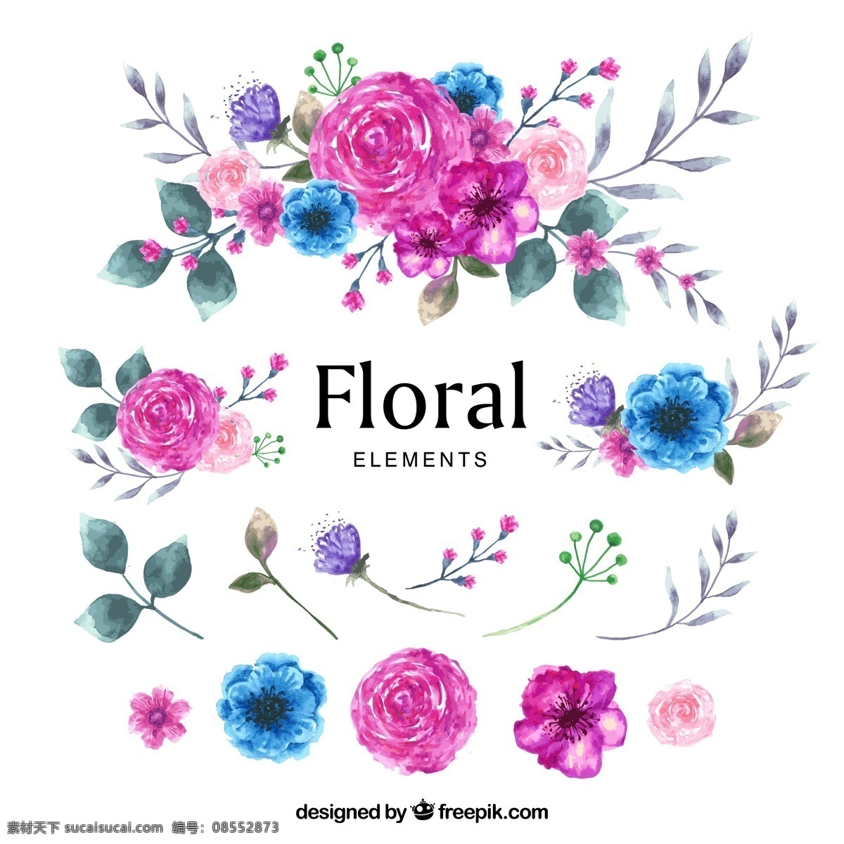 水彩 绘 花卉 花束 叶子 叶子矢量图 玫瑰花 蓝盆花