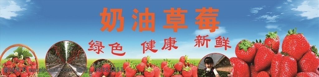 奶油草莓 草莓 水果 喷绘 寒天绿草 红色 蓝色 原创 室外广告设计