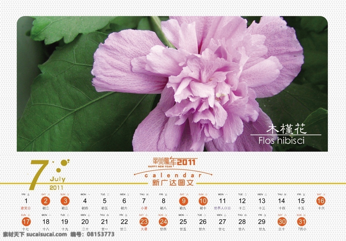 台历免费下载 2011 分层 花 木槿花 七月 日历 台历 兔年日历 源文件 psd源文件