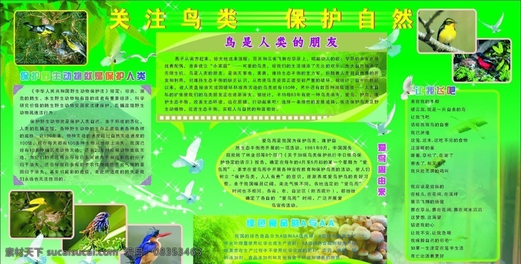 爱鸟周 板报 树叶 竹枝 鸟的图片 鸟类 鸟 花朵 喜鹊 黄鹂 麻雀 展板模板 矢量