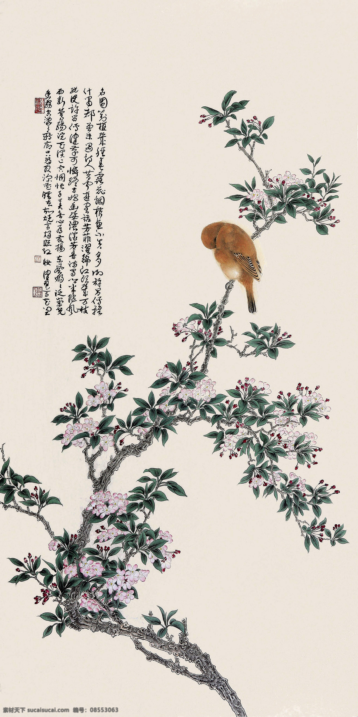 陈佩秋 花鸟 美术 中国画 陈佩秋国画 花木 花朵 鸟儿 国画艺术 绘画书法 文化艺术