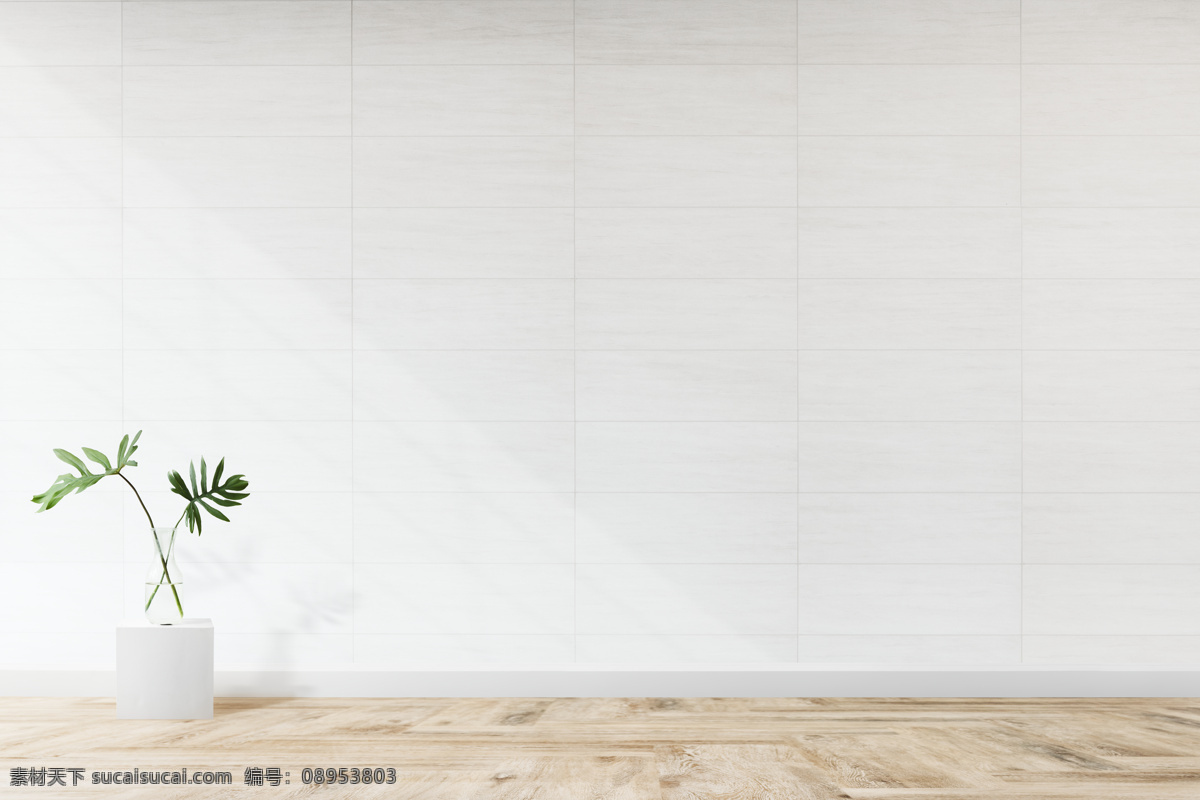 绿植 绿萝 植物 插花 花瓶 花盆 主图背景 客厅 起居室 沙发 座椅 椅子 简约 背景图 背景 背景素材 素材图 livingroom 背景墙 卧室 餐厅 窗帘 地板 墙壁 墙 角 角落 桌面 桌子 电器背景 家具 家居背景 家具背景 家电背景 电商主图 电商背景 电商背景图 客厅背景图 生活百科 家居生活