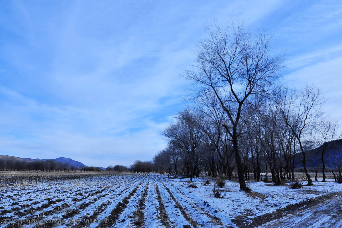 雪景 冰雪景色 自然风景 冬季 冰雪 白色 雪 自然风光 下雪 树木 雪白 田野 冰雪世界 自然景观 蓝色