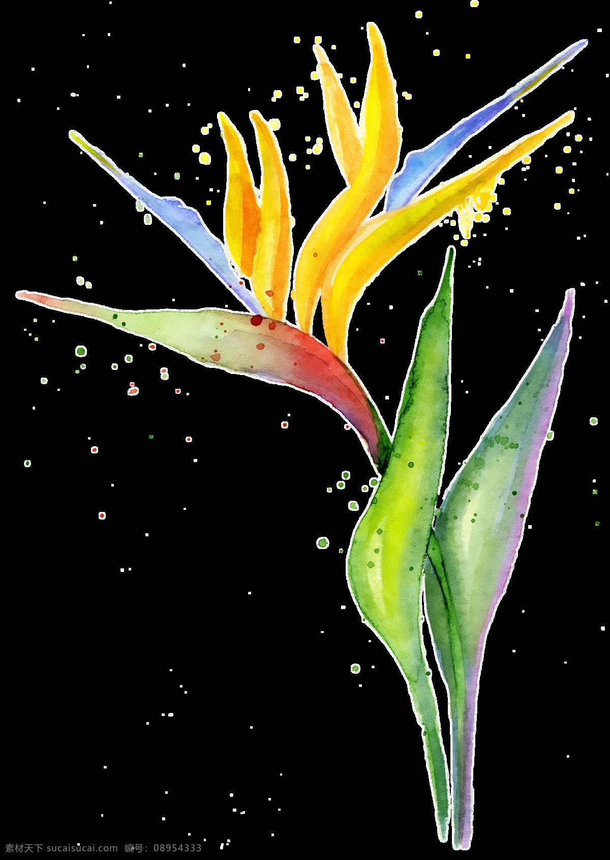 艳丽 鹤望兰 透明 观赏花 蓝色 绿色 免扣素材 水彩黄色 透明素材 叶子 植物 装饰图案