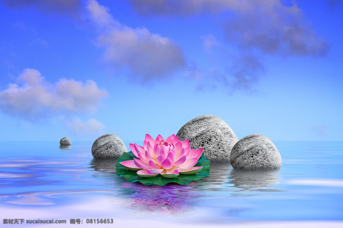 荷花 莲花 石头 大海 湖泊 海洋 梦幻 唯美 景观 岩石 小岛 鲜花 花朵 极乐世界 世外桃源 创意 美景 天空 生物世界 花草