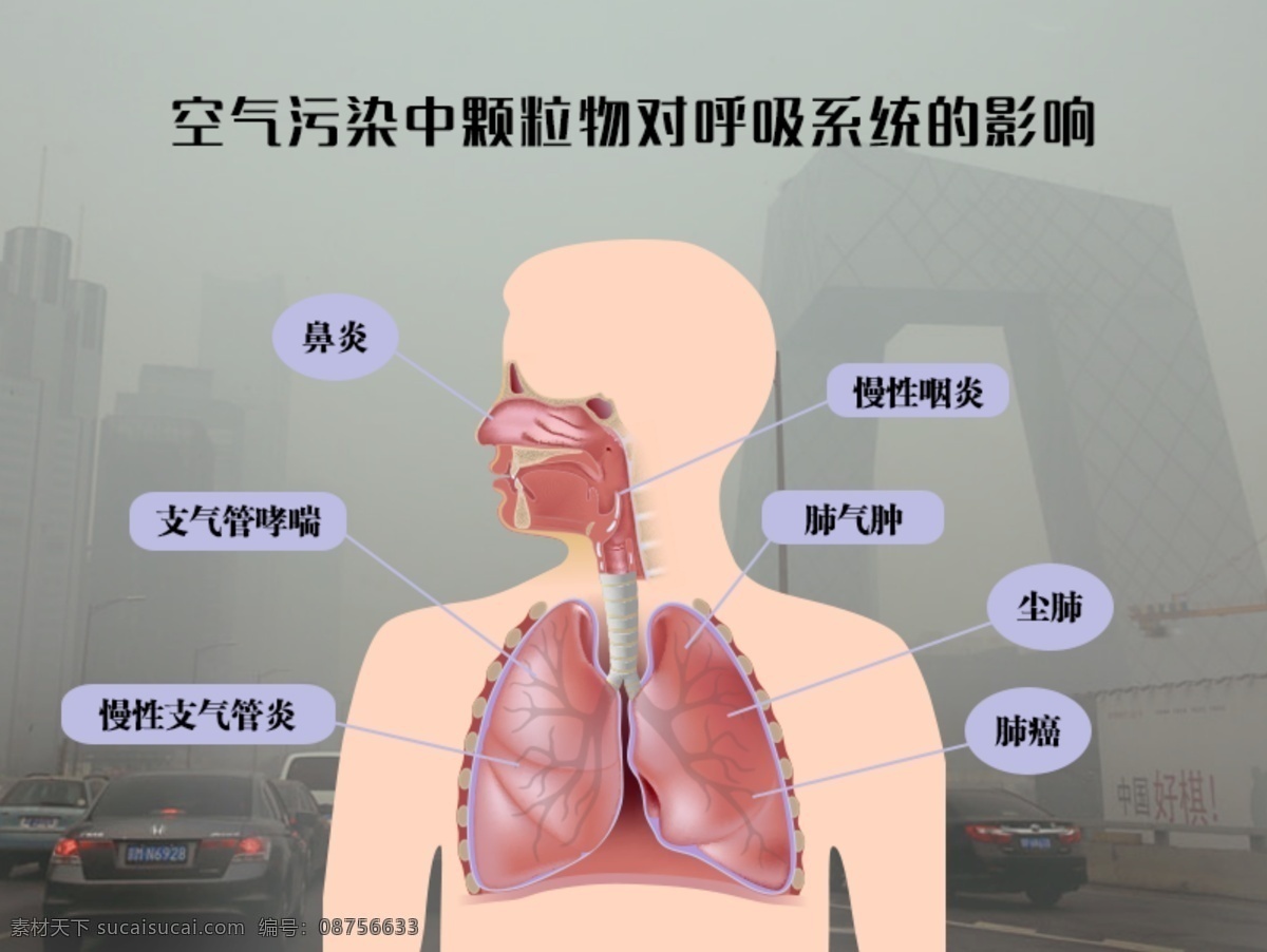 空气污染 中 颗粒物 呼吸系统 影响 雾霾 雾霾颗粒物 呼吸道 肺 人体器官 肺部