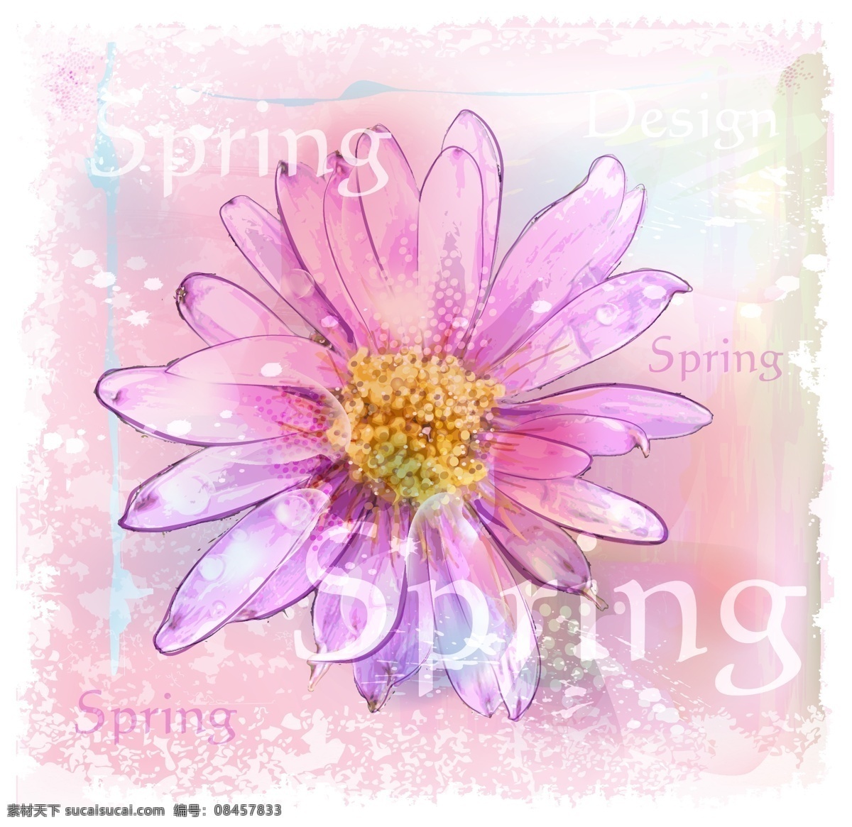 粉色 水彩 菊花 花卉 春季 插画 矢量图 矢量 高清图片