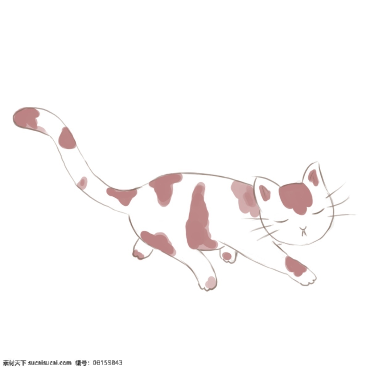 宠物 可爱 小猫 元素 插画 卡通 透明素材 猫咪 动物 装饰图案