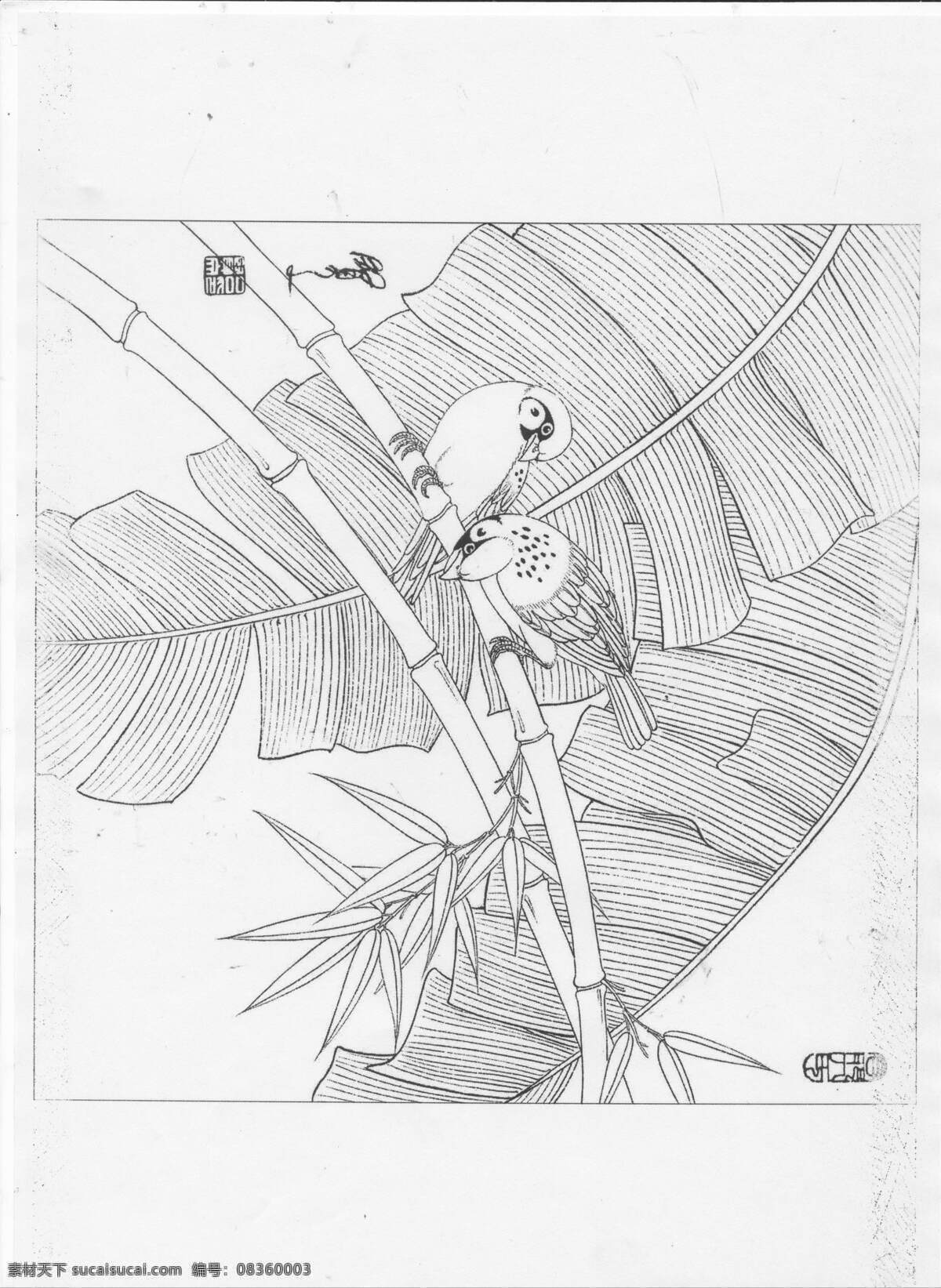 工笔白描 芭蕉 麻雀 竹子 文化艺术 绘画书法 设计图库
