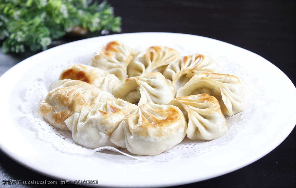 煎饺图片 煎饺 美食 传统美食 餐饮美食 高清菜谱用图