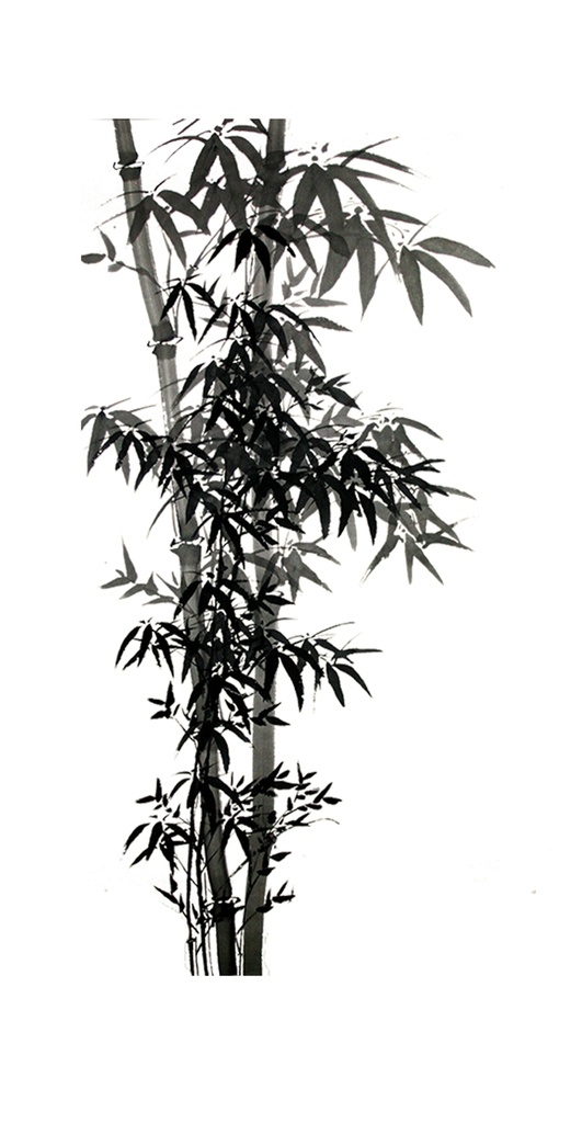水墨竹子 富贵竹素材 富贵竹元素 富贵竹背景 富贵竹图片 竹子 竹子素材 竹子元素 竹子背景 竹子底纹 矢量竹子 竹 竹素材 竹元素 竹背景 矢量竹 竹报平安 手绘竹子 高清竹子 中国风竹子 植物竹子 竹林 发簪 桃花 文化艺术 绘画书法