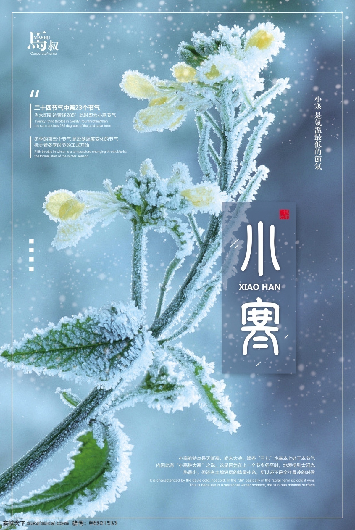 二十四节气 小寒 大寒 节日 海报 冬至 大雪 节日海报 传统节气 雨水 秋分 寒露 立秋 立冬 小雪 冬季促销 冬季打折 冬季海报 雪花 冬天 一月你好 旅游 风景 冬季旅游 冬季植物 冬景 简约 展板模板