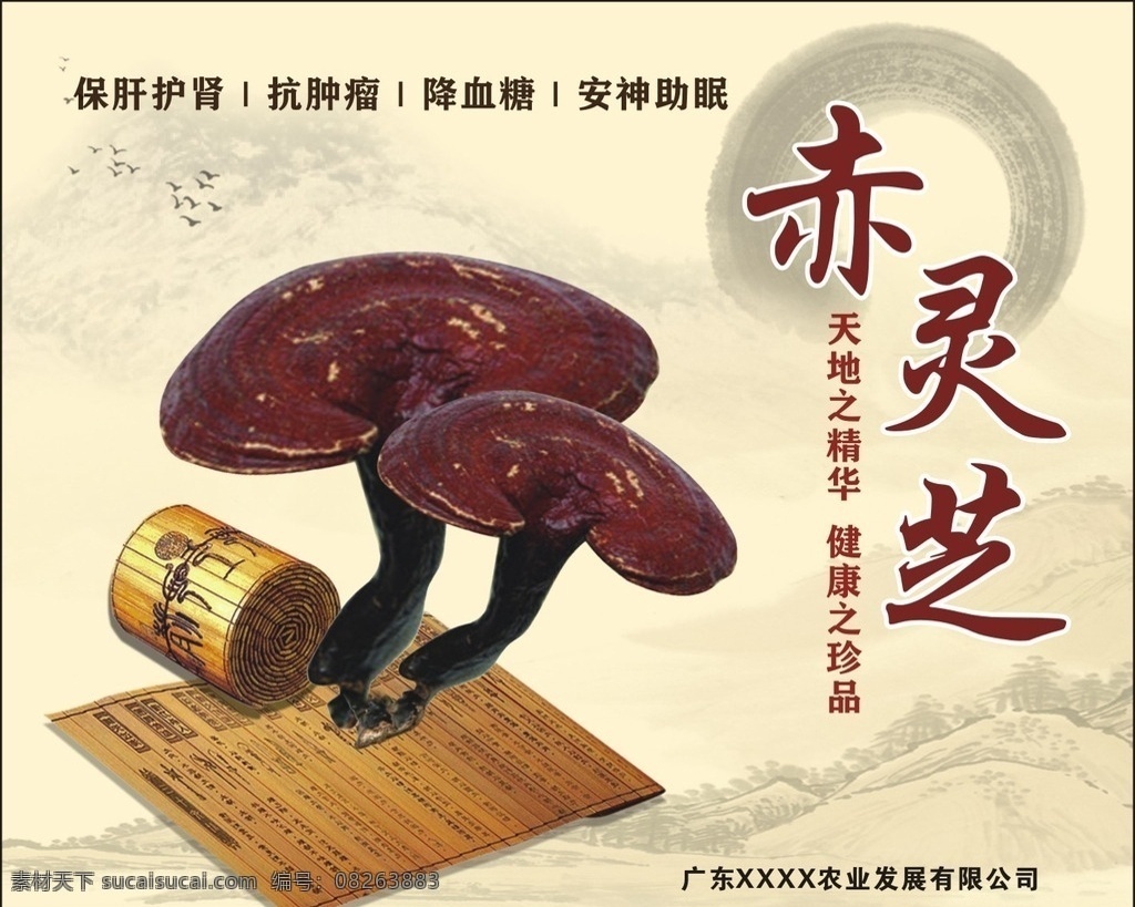 赤灵芝 灵芝 中药 野生灵芝 灵芝中药 灵芝草药 灵芝包装 中医 孢子粉 中药材 灵芝片 木灵芝 干货 养生食材 膳食养生 黑灵芝 肉灵芝 灵芝图片 灵芝粉 灵芝胶囊 灵芝茶 包装设计