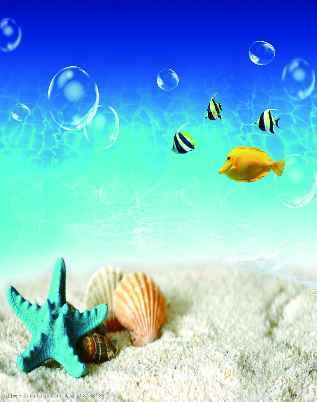 贝壳 底纹边框 海底世界 海星 卡通 气泡 沙滩 沙子 水族乐园 移门 水族 鱼 水纹 移门图案 家居装饰素材