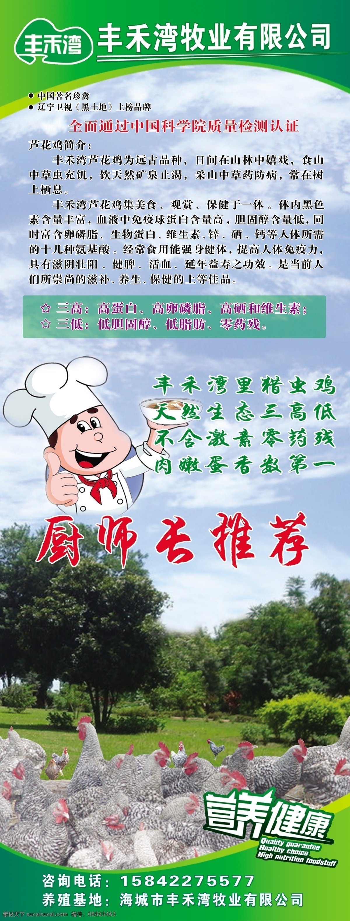 虫鸡蛋展架 鸡蛋 虫鸡蛋 溜达鸡 展架 饭店展架 虫 广告设计模板 源文件