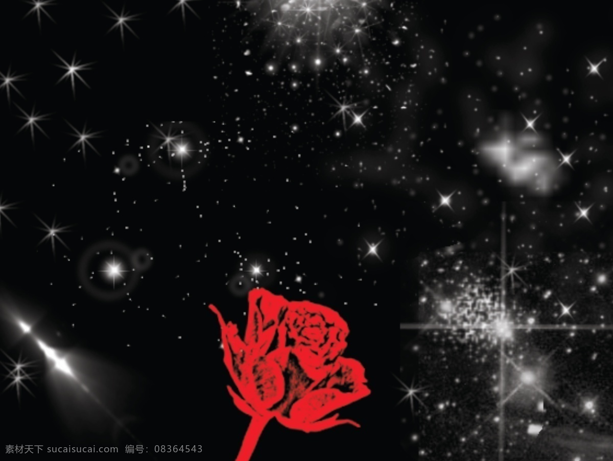 玫瑰和星光 玫瑰 星光 黑色