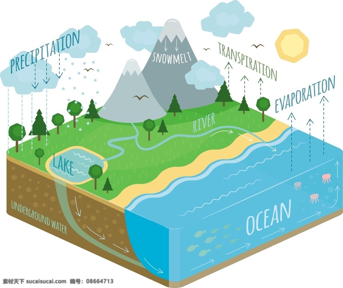 水循环图 树 箭头 水 云 教育 自然 海洋 天空 大地 科学 雨 生态 图表 环境 天气 周期 元素 氧气 冷凝 蒸发 白色