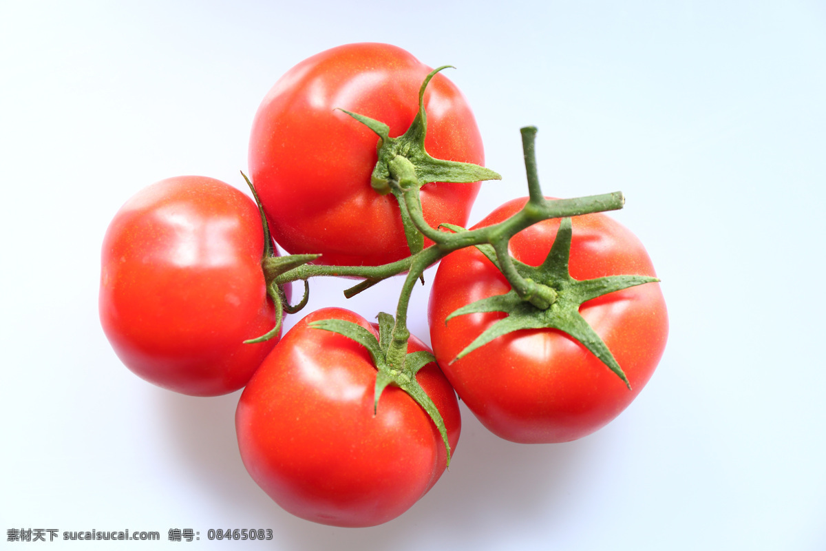 番茄 西红柿 新鲜蔬菜 蔬果 蔬菜特写 美妙人生 生物世界 蔬菜