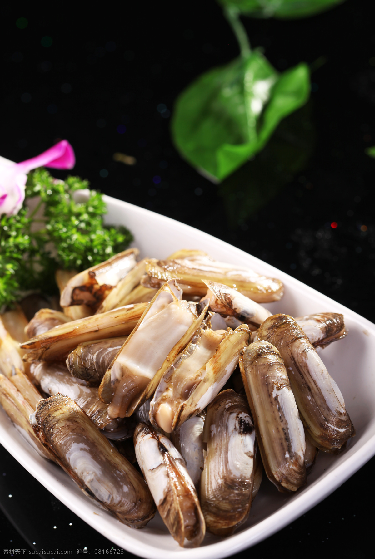 蛏子 涮菜 烫火锅 火锅菜品 火锅配菜 火锅菜系 菜品图 餐饮美食 传统美食