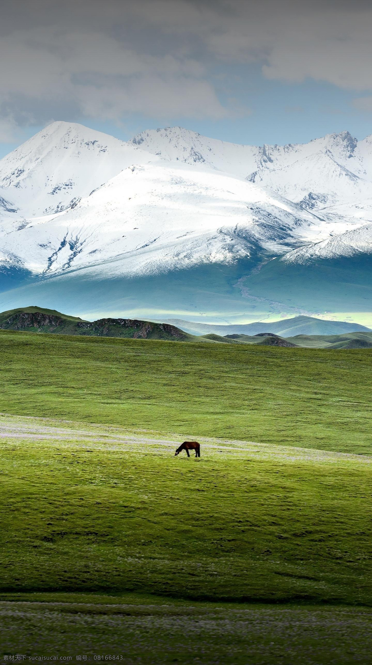 雪山 风景 草原 风景图片 摄影图片 自然景观 自然风景
