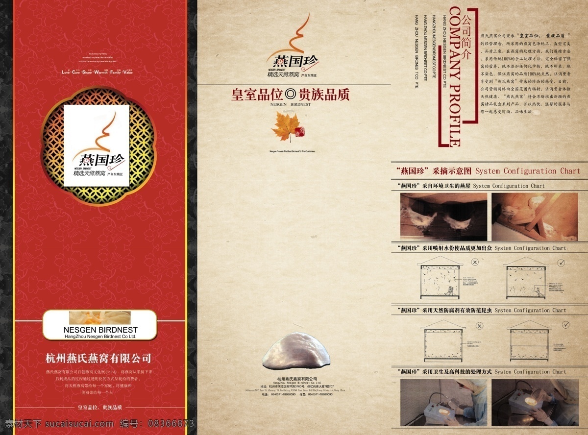 燕窝 宣传 折页 底纹 枫叶 广告设计模板 画册设计 三折页 源文件 燕窝宣传折页 燕国珍 其他画册封面