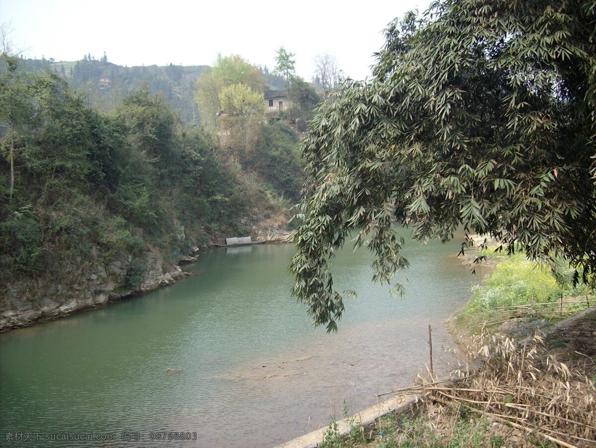 河岸 一景 山川 水流 竹子 格式 高清 风景 生活 旅游餐饮