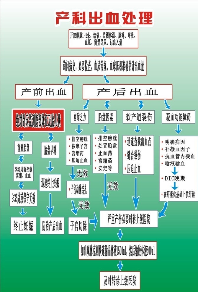 产科 出血 处理 流程图 出血处理 医疗保健 生活百科 矢量