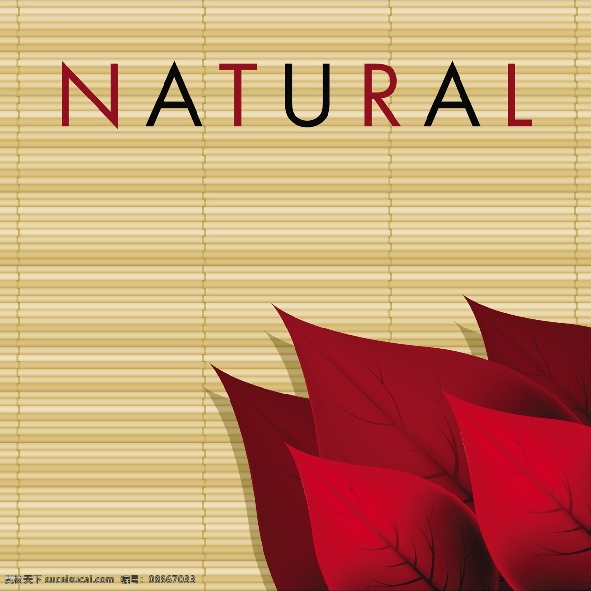 精美 树叶 广告 背景 矢量 红叶 绿叶 矢量背景 矢量素材 叶子 自然 自然生态 natural 竹帘 矢量图 其他矢量图