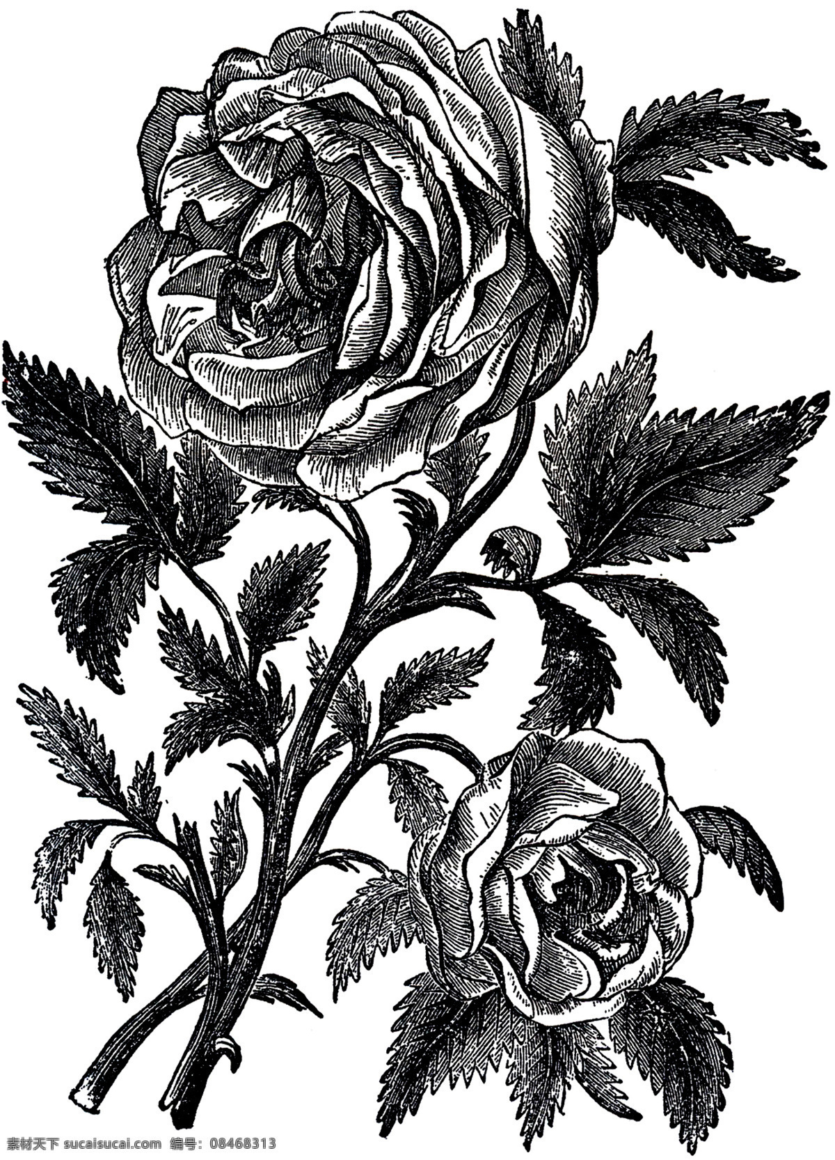 复古 手绘 花卉 装饰画 复古花卉 室内装饰画 油画花卉 手绘花卉设计 植物花卉 水彩花 时尚油画 复古油画 手绘古典油画 电视墙 背景墙 壁画 数码印花 欧美服装素材 欧美装饰画 油画模板 创意油画 文化艺术 绘画书法 复古手绘花卉