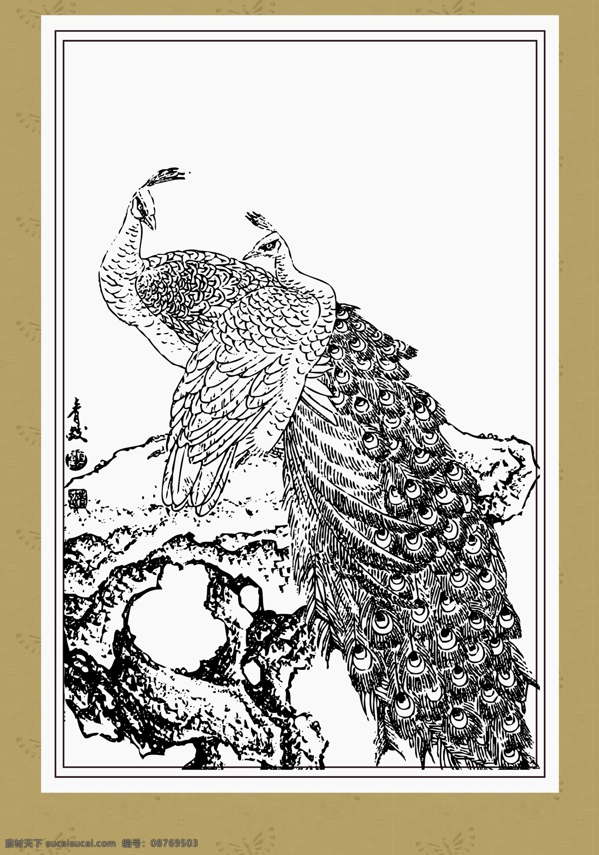 花鸟系列 绿孔雀 工笔 白描 国画 花鸟 写实 花卉 传统文化 文化艺术 矢量