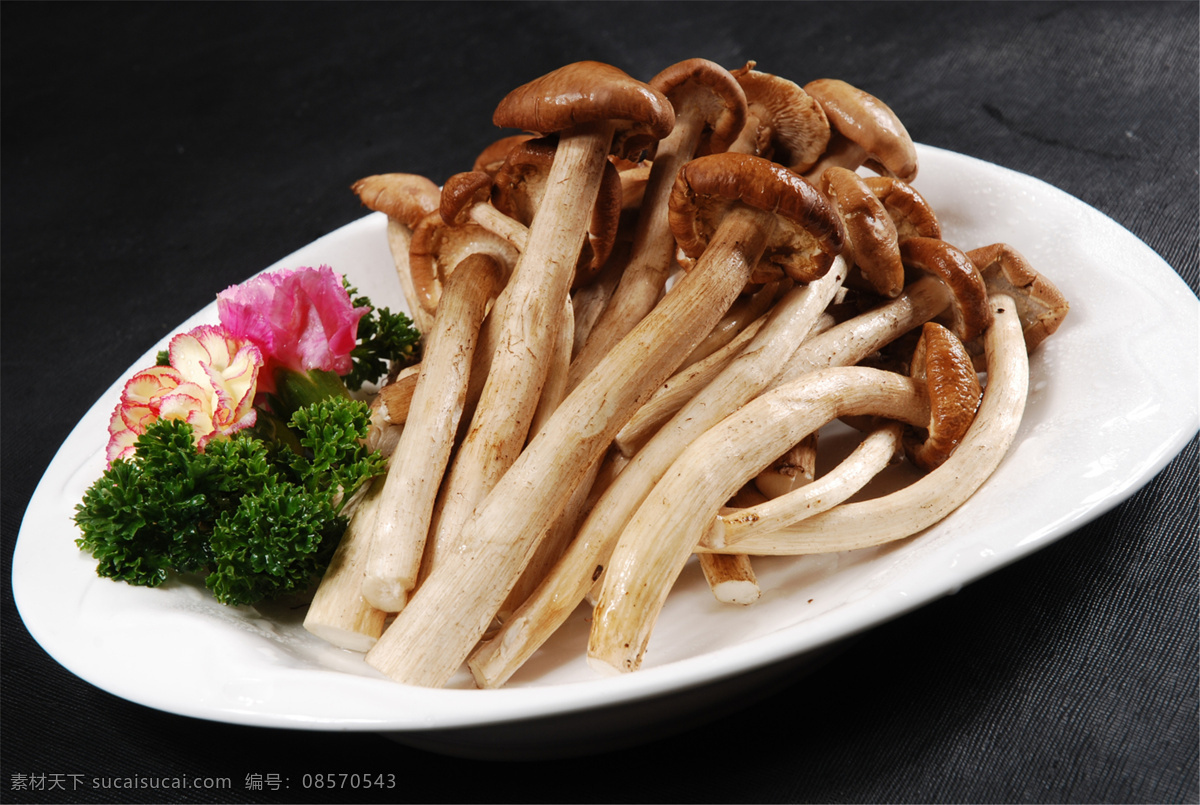 鲜茶树菇图片 鲜茶树菇 美食 传统美食 餐饮美食 高清菜谱用图