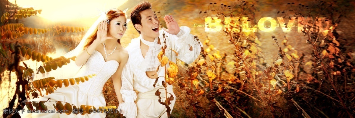 新 风尚 秋韵 婚纱 模板 影楼 魔法 书 dvd5 2009 婚纱照 模板下载 婚礼模板 婚庆模板 婚纱摄影 婚纱相册模板 写真模板