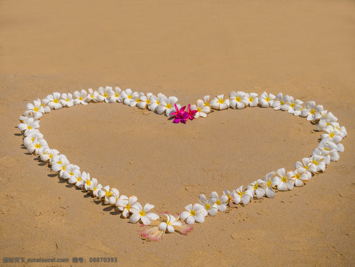 沙滩 上 白色 花朵 花瓣 鲜花 爱心 桃心 心形 求婚场景 沙子 其他类别 生活百科