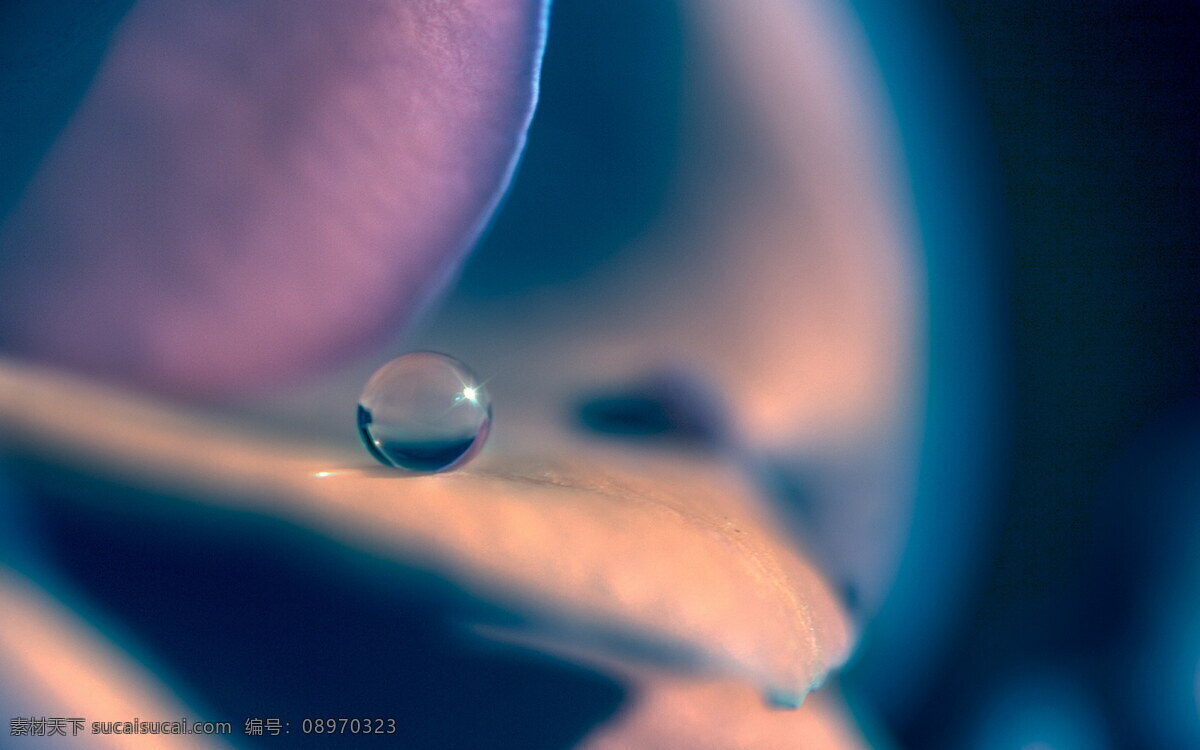 花卉免费下载 花朵 花朵背景图 花朵花束 花朵素材 花朵组成的心 花卉 风景 生活 旅游餐饮