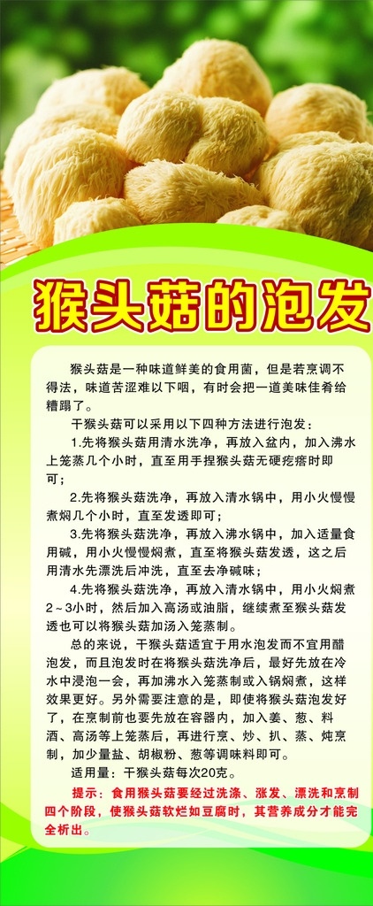 猴头 菇 功效 作用 猴头菇 x展架 易拉宝 海报 底纹边框 背景底纹