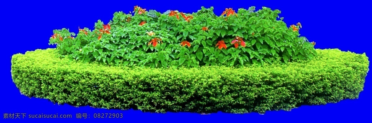 灌木 效果图 植物 配景 园林植物 配景素材 园林 建筑装饰 设计素材 3d模型素材 室内场景模型