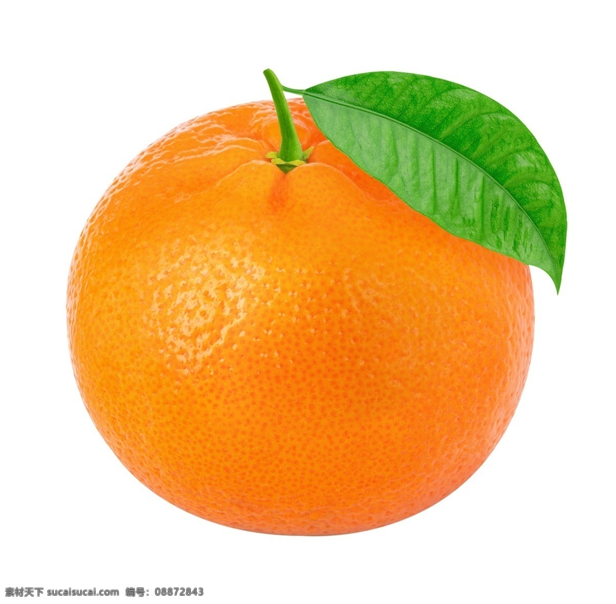 水果 柑橘修图 高清 农业 包装设计