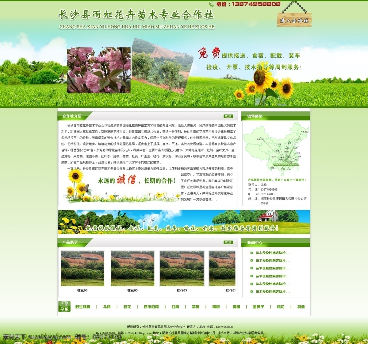 苗木 网页 草丛 网页模板 向日葵 源文件 中文模版 苗木网页 农业网页 花卉网页 网页素材