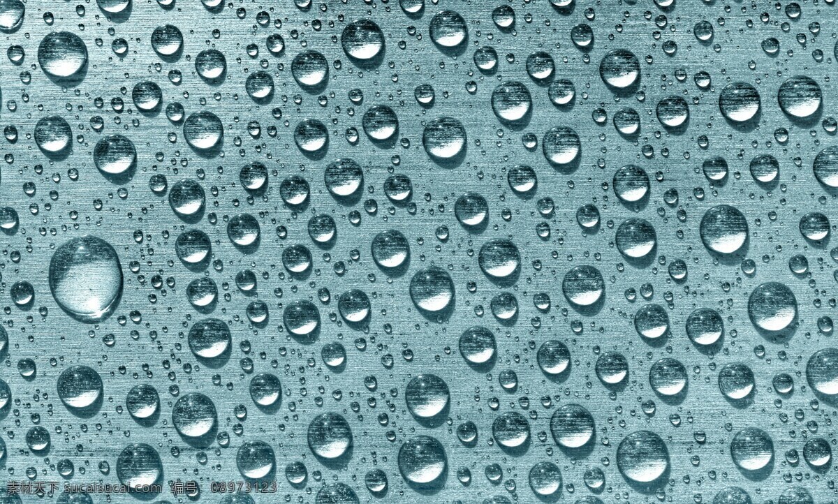 颗 水珠 一颗颗水珠 露水花 水背景 水主题 水元素 水图片 生活百科