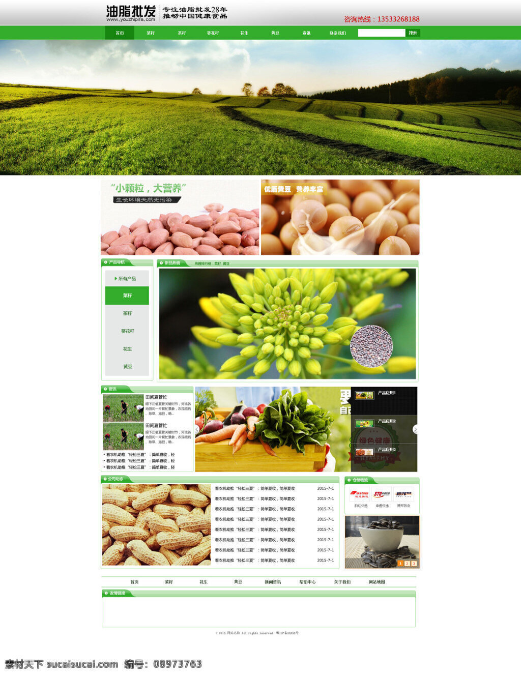 花生 豆类 油脂 食品 网站首页 绿色 首页 黄豆 白色