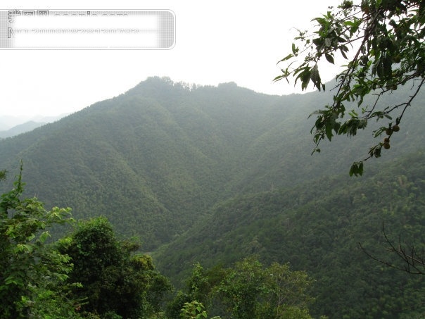 山免费下载 杭州 旅游摄影 绿色植物 群山 山 摄影图 德清 莫干山 杭州旅游 风景图片 风景 生活 旅游餐饮